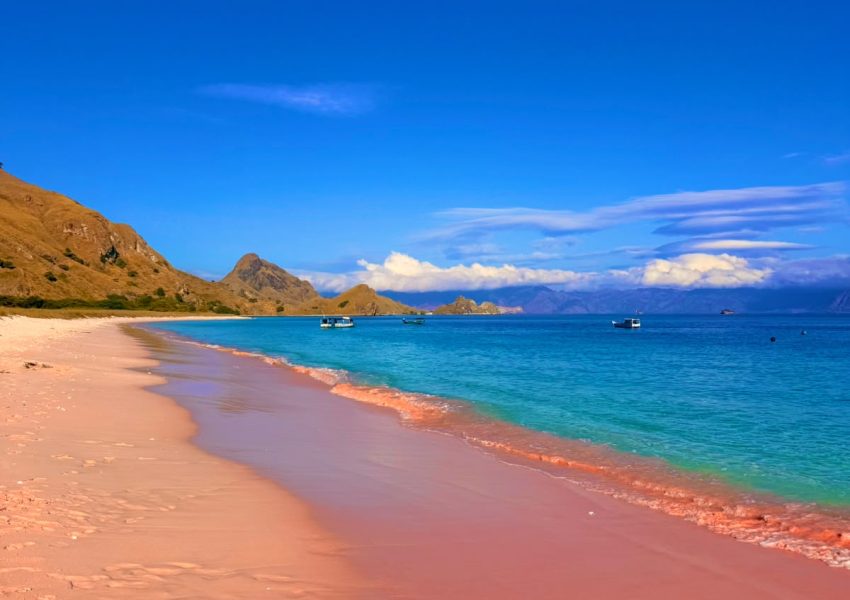 Komodo Trip Sailing (3)
